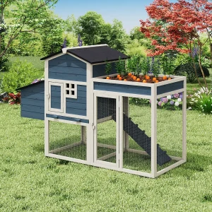 Kippenhok met omheining en moestuin – 4 kippen – H109 cm – Blauw en wit – CAMPORA