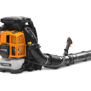 Chester Rugblazer met thermische motor 79 cm³ – 367 km/h