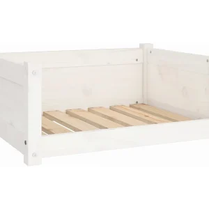Chatham Hondenbed Wit 65,5×50,5×28 cm Massief grenenhout Chatham Hondenbed Wit 65,5×50,5×28 cm Massief grenenhout