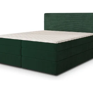 Boxspringbed MATERN 160×200 cm Set met hoofdbord, bedbodem en matras, Dennengroen