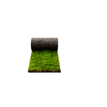Basic graszoden per m²